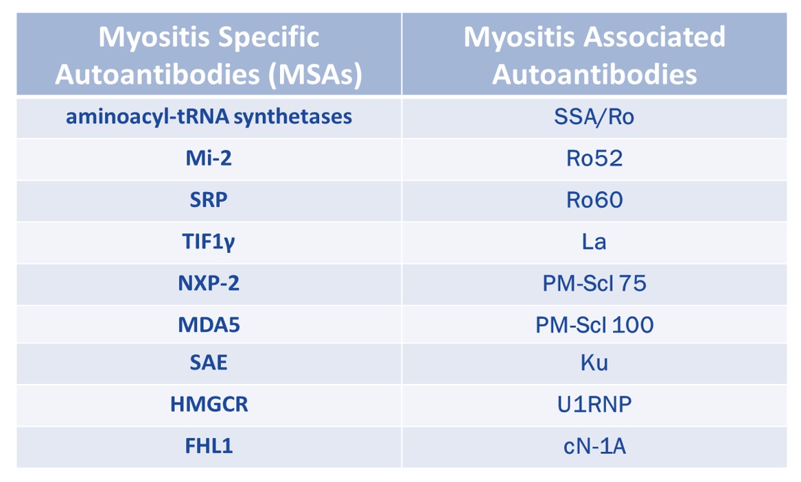 Keep in mind that some autoantibodies are *non-specific*While they can be detected in patients with myositis, they are also seen in other autoimmune disorders (e.g. Ro52 in scleroderma)!these are called myositis-associated antibodies (MAAs)MSAs vs MAAs: