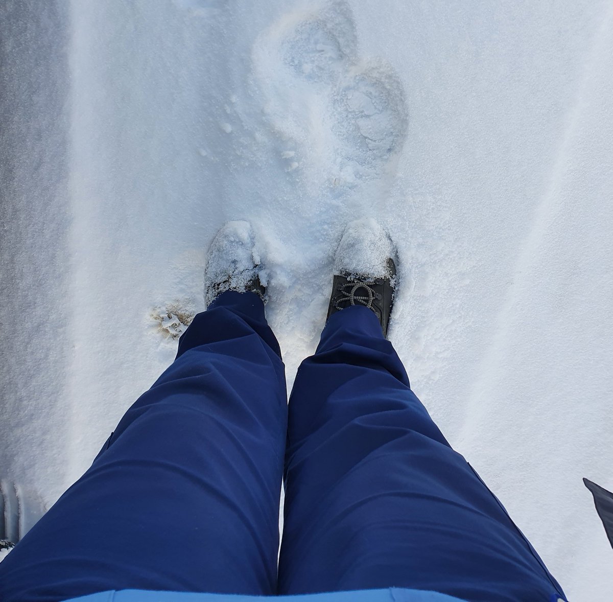 kay_harrow's tweet photo. ❄ Community Nursing in the snow! ❄
I've loved seeing everyone pull together and work through adverse conditions to get patients seen 💙
#communitynurse #snow #teamwork
@nhsfife @WeDistrictNurse https://t.co/E0ufdnWQV1