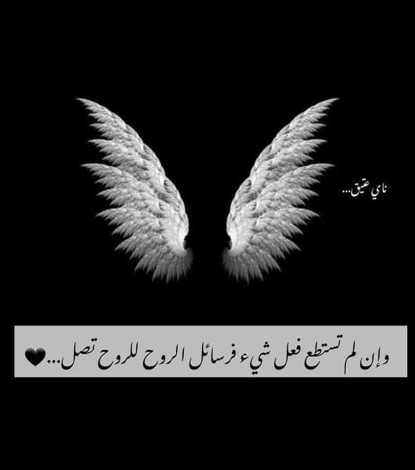 " هنَـاك أشخاصٌ تستطيع أن
 تحتفِظ بهم في قلبِـك بكلّ حفاوة رغْم مواسِـم الغيَاب الطَّويله
 لأنّ حضُورهم الأوّل لم يكنْ عاديّـاً أبداً."