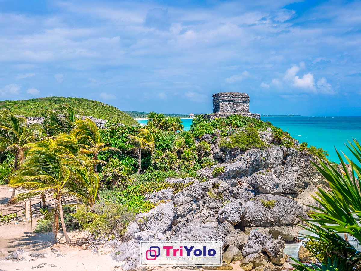 TriyoloMX's tweet photo. ¡Buenos días desde la hermosa ciudad de Tulum! 😍 https://t.co/5oYjNEPAWl