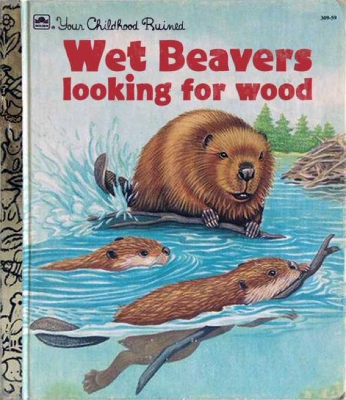 Jenny_Trout's tweet image. "without downloading any new pictures, what is your sexuality?"