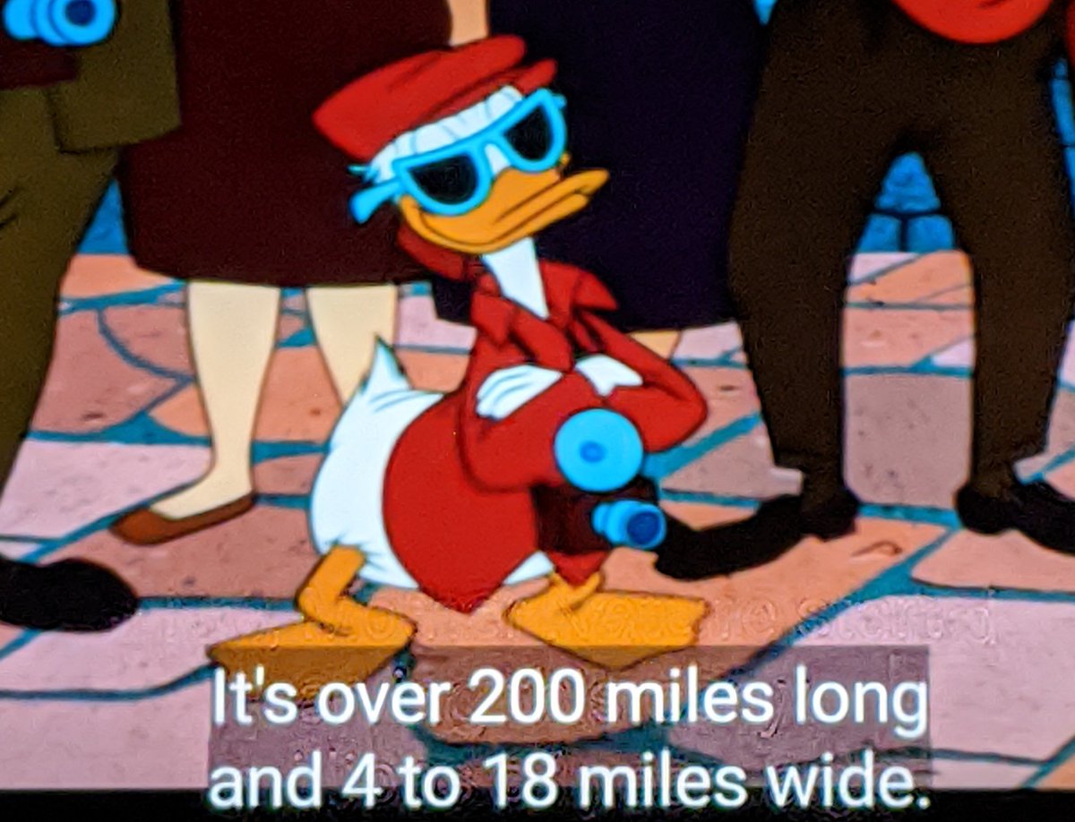 Jenny_Trout's tweet image. "without downloading any new pictures, what is your sexuality?"