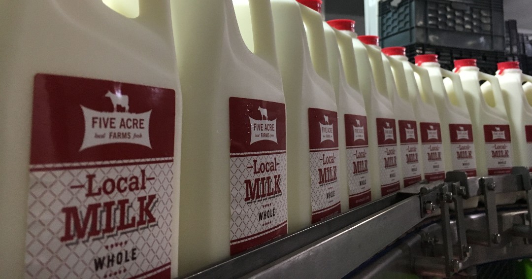 What started out as a call from a friend who wanted to make an immediate difference in the growing food crisis has turned into a truly holistic approach to helping feed those in need with dignity and nutritious local food. Continue reading...

fiveacrefarms.com/farms-to-famil…