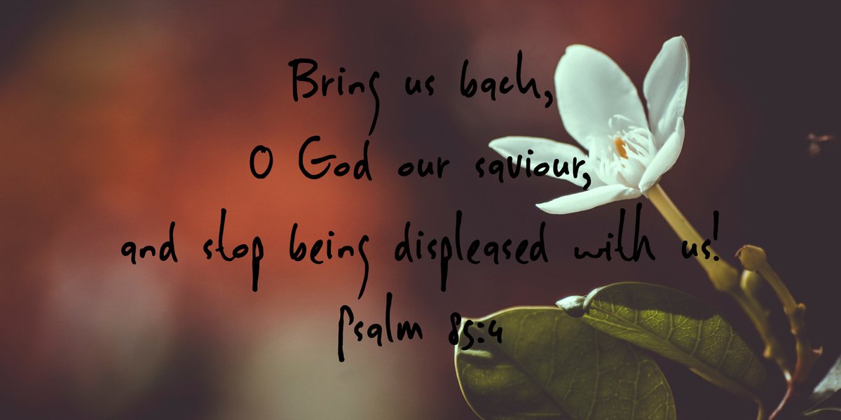 psalmimage's tweet photo. #psalm 85 #bible: https://t.co/aCMcMDqpXj https://t.co/dlGU2KRD2J