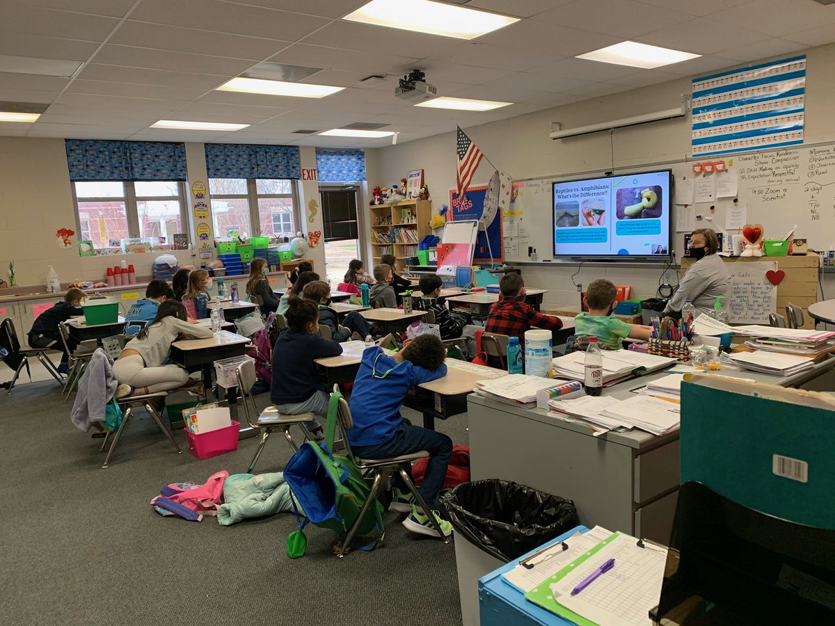 SiegelEagles's tweet photo. Our 2nd grade students enjoyed Skyping a Scientist with zoologist/biologist Cleo Falvey this morning. They learned all about amphibians and reptiles. As an extra treat, Cleo even showed her Gargoyle Gecko, Blinky! https://t.co/HWfFy0ZWV7