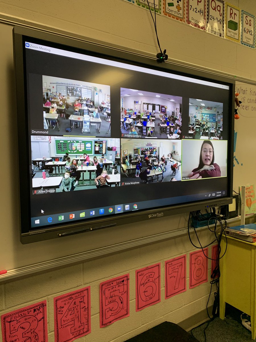 SiegelEagles's tweet photo. Our 2nd grade students enjoyed Skyping a Scientist with zoologist/biologist Cleo Falvey this morning. They learned all about amphibians and reptiles. As an extra treat, Cleo even showed her Gargoyle Gecko, Blinky! https://t.co/HWfFy0ZWV7
