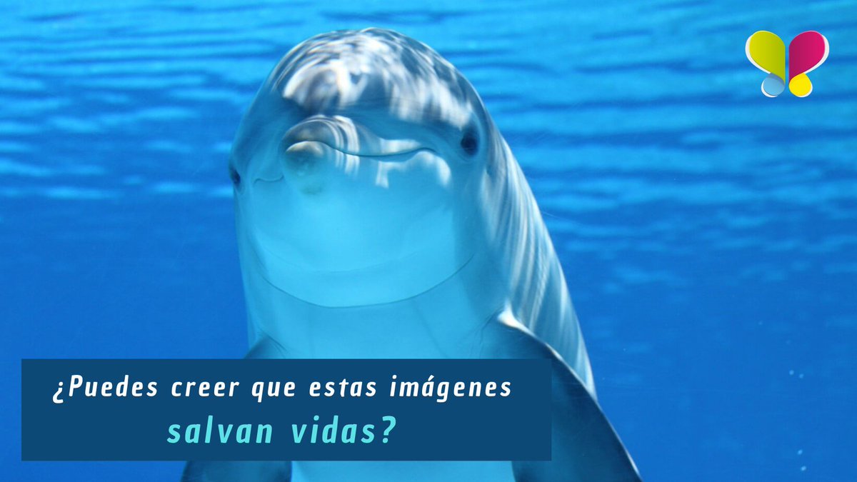 ¿Puedes creer que estas imágenes salvan vidas? En este hilo te contamos cómo --->

#emprendimiento #Colombia #DiaDelPeriodista #periodismo #startup