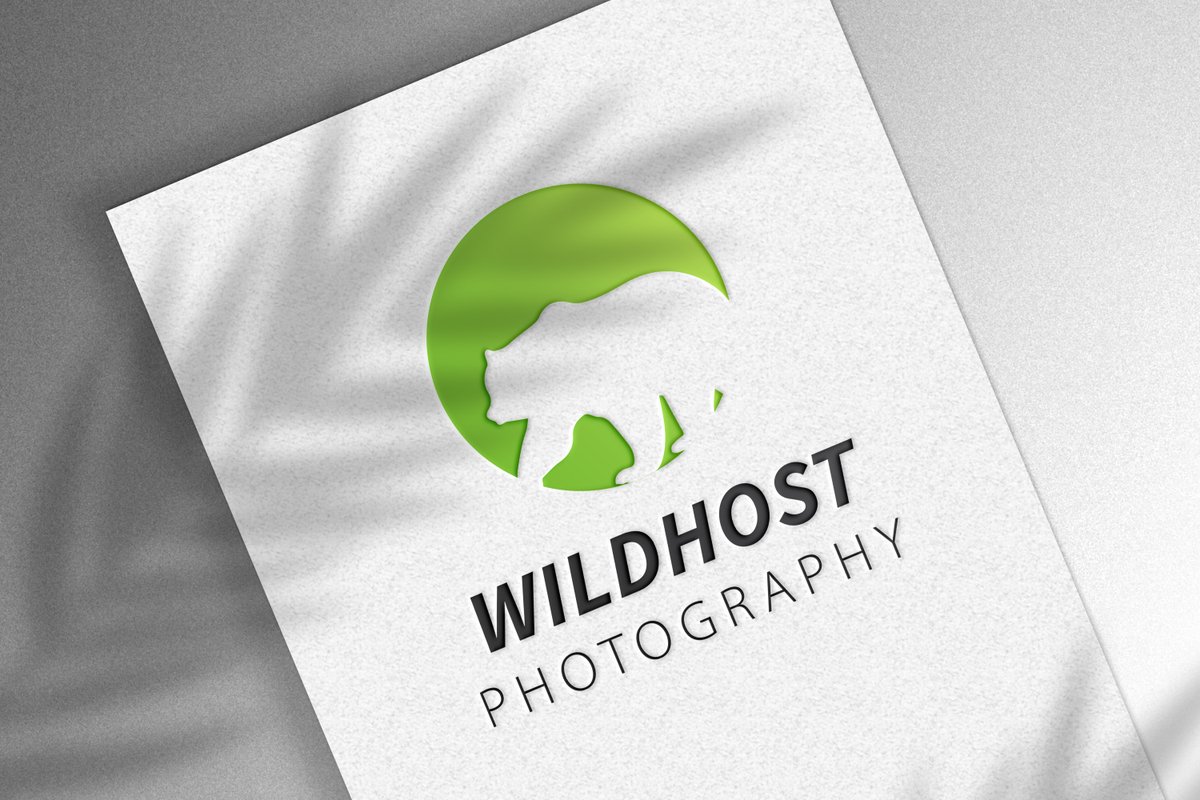 creativelogo95's tweet image. Follow👉@creativelogo95 
For More Great Designs Inspiration.
�WILDHOST PHOTOGRAPHY Logo Concept✨�•�
🔴 Need A Logo?
 #geometricart #logodesigner #logomaker #luxuryclothing #luxurylifestyle #brandlogo #logobrand #logoanimation 

👉👉order now👇👇
fiverr.com/creativelogo95…