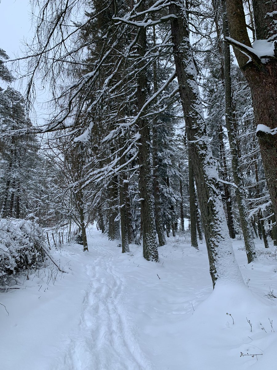 WindyWilson88's tweet photo. Windy says craziest #Snow run I’ve ever done. Strong winds. Big drifts. Few tumbles. Loads oh laughs but by fuk I’ll no be doing that again in a hurry . . . Well no till Thursday anyway 

#UltraMentality #TrailRunning #LoveGlen #WindysSnowCheck #StayHard 🖤 https://t.co/mLj4womI3v