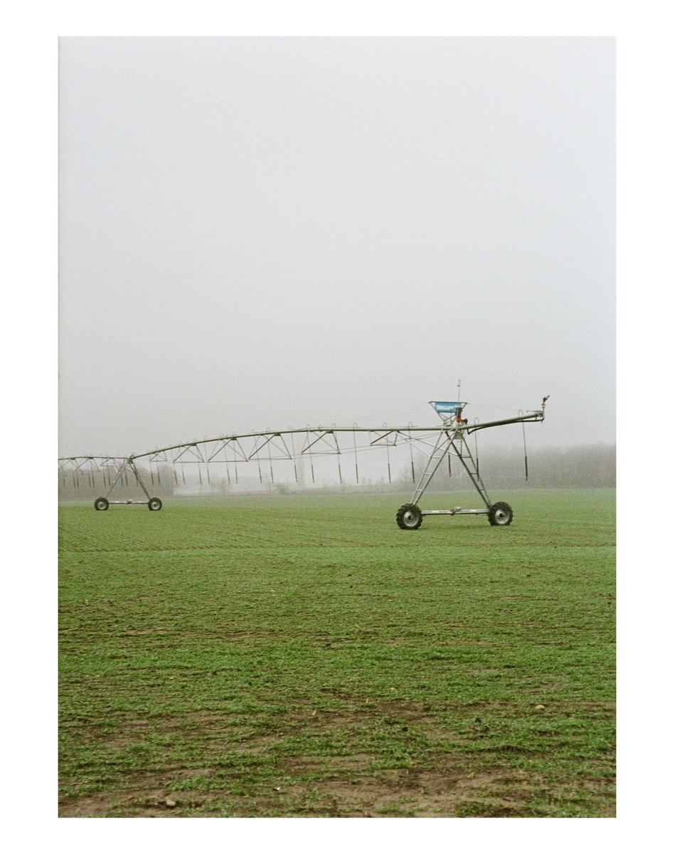 Alien Life / Street / 2021 
📸 Olympus Pen F (Half-Frame)
🎞 Fuji Superia 200 <a href="/100/">One Hundred</a>
