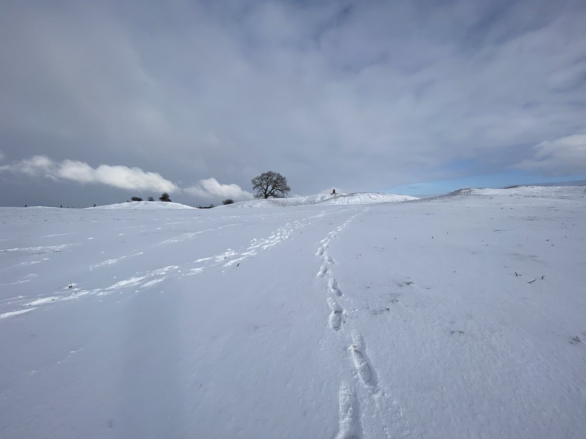 Burrough Hill tweet media