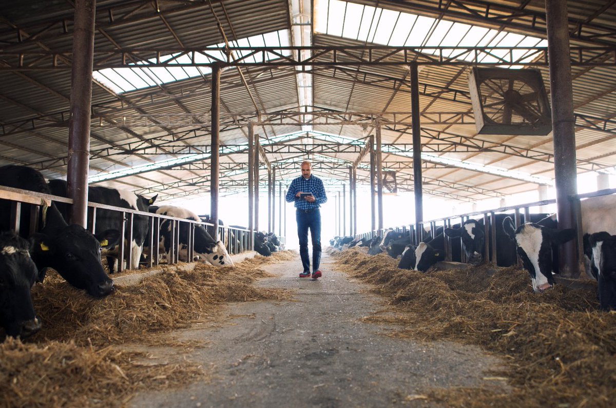 livestockspain's tweet photo. 🆕¿Sabías que el sector agroalimentario es el mejor valorado por los españoles tras la crisis del #COVID19?

👨‍🌾@EITFood indica que un 66% confía más en agricultores y ganaderos tras su labor en la #crisis. 

❤️Si estás de acuerdo

@RevistaFrisona 👇
https://t.co/xKCoN566Kf https://t.co/2BbJyqm9dZ