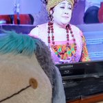 バイキングで 森公美子 が話題に トレンドアットtv