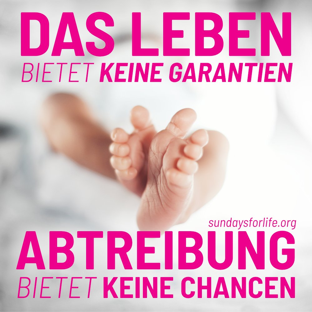 sundaysforlife's tweet photo. Gib dem Leben eine Chance! https://t.co/P7kCxxaOum