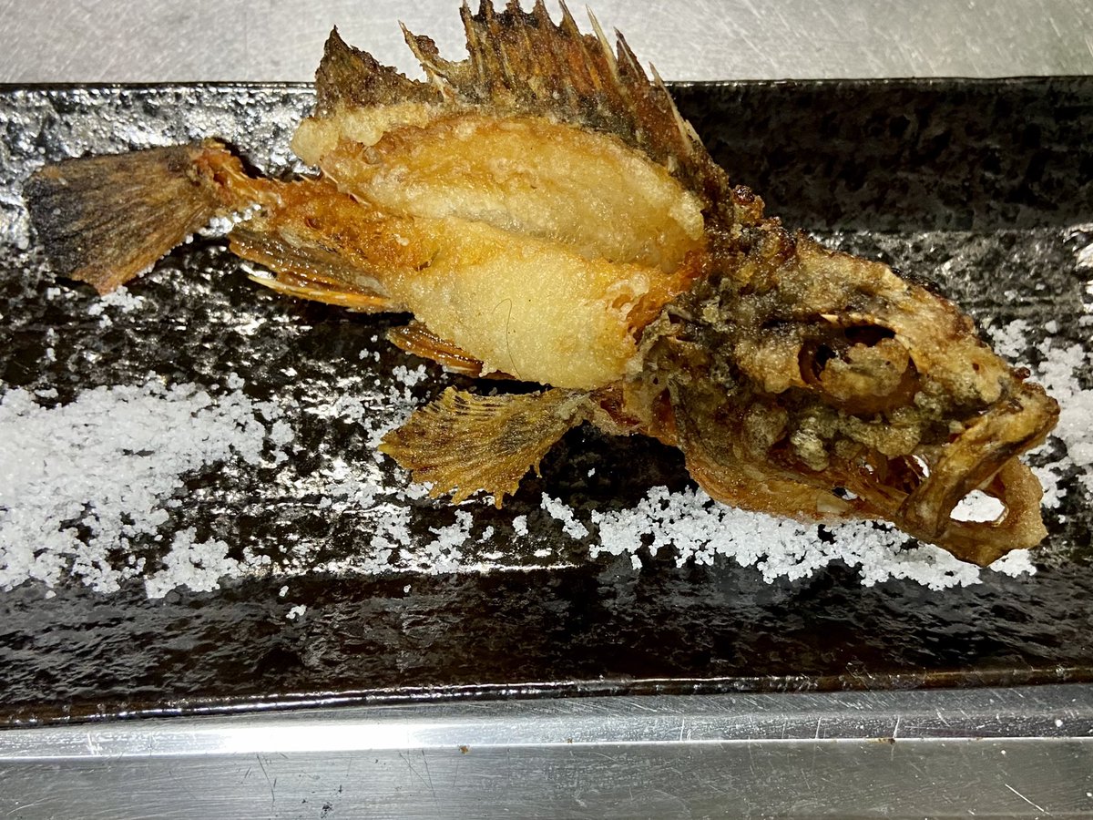 2代目リッキー 究極の釣り 究極のブラクリ 自作ブラクリ Youtubeチャンネル登録ありがとう Url T Co Izyipeoxki 唐揚げ研究家のリッキーです 釣り Youtube 究極の釣り 365日釣り 根魚愛好家 ガシラ カサゴ アラカブ T Co