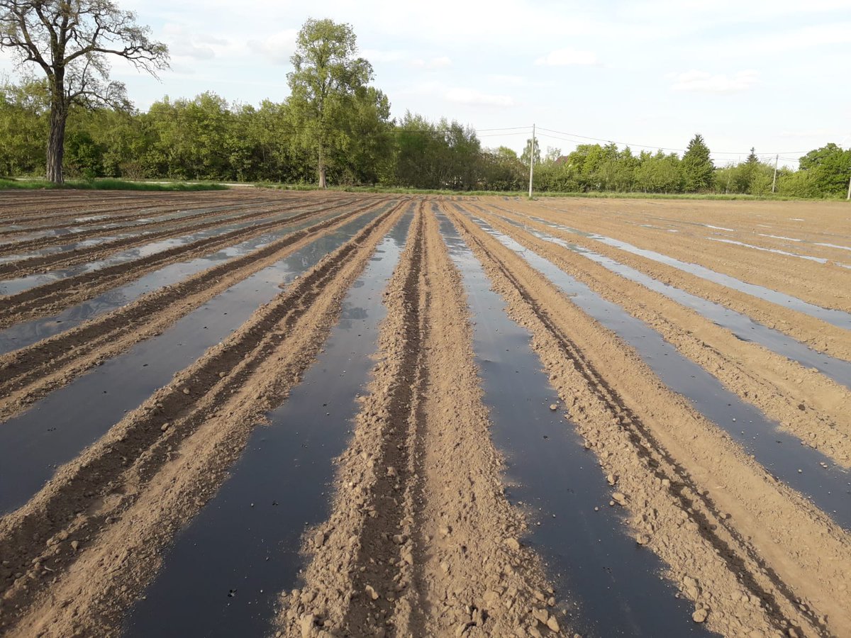 samcosystem's tweet photo. @IrishOrganicA @mopsorganic Looking for #irish manufactured black #mulchfilm for growers this spring? 

Contact Matthew Shine on 061 396176 or mshine@samco.ie for details on our range of films. #samcosystem https://t.co/uZU7rH5kvc