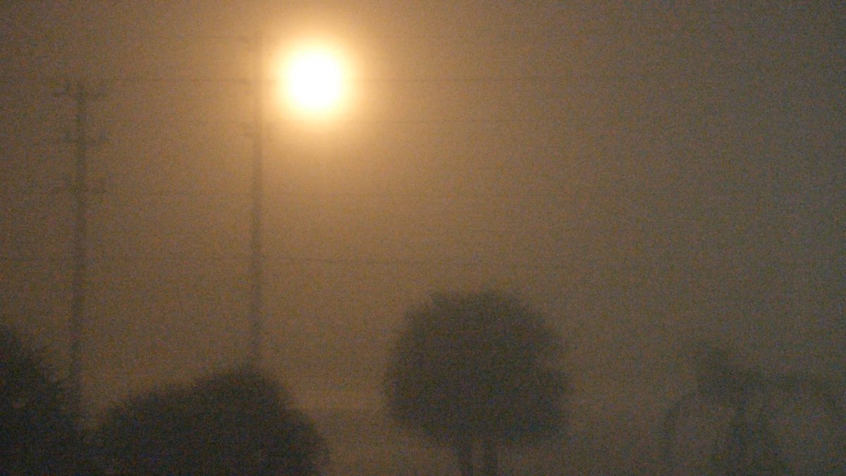GrantGilmoreWX's tweet photo. We can barely see Gandy Blvd. from the roof of @10TampaBay. Yeah... we've #GotFog https://t.co/fOp4tOBSwv
