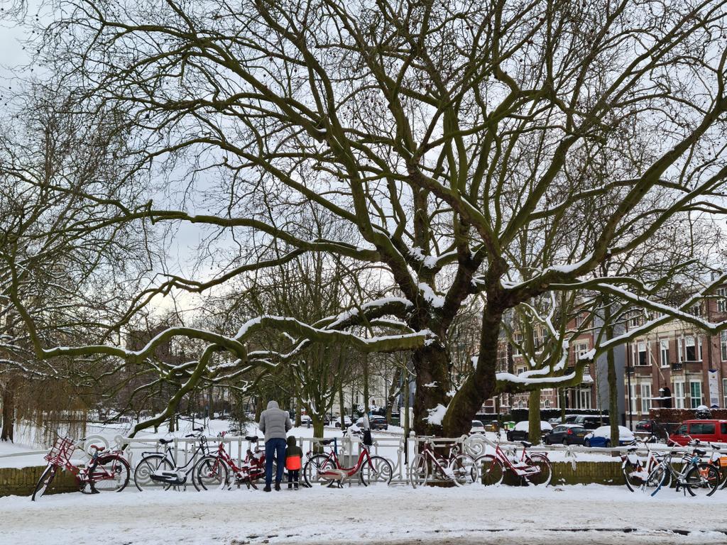 marian070249's tweet photo. Bruggetje over uit de #WittedeWith naar het #museumpark het #Depot @boijmans https://t.co/daegRe2Zwj
