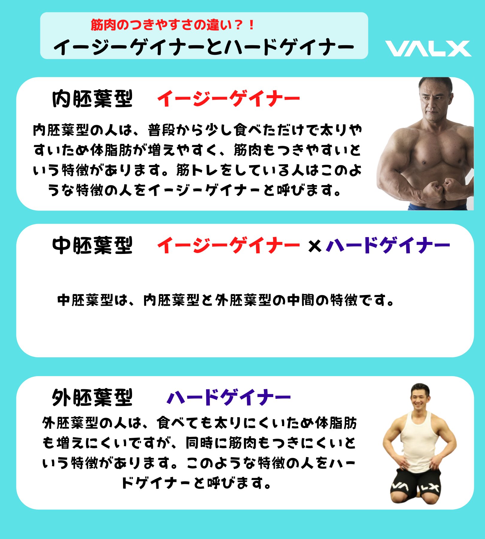 Valx 効率的にバルクアップするために イージーゲイナー ハードゲイナーの人が日常生活とトレーニングで注意することについてまとめました Valx 効率的にバルクアップするために イージーゲイナー ハードゲイナーの人が日常生活とトレーニングで注意することについてまとめました