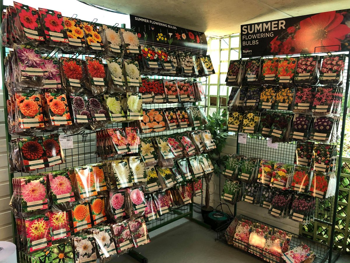 Open 7 days a week #summerfloweringbulbs #wickham #fareham #hampshire #gardening  #gardencentrehampshire #gardencentre #springiscoming #february2021