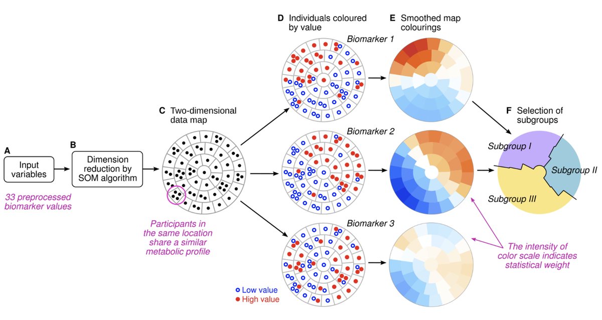 Prof M Ala-Korpela (@mak_sysepi) on Twitter photo We analyzed data <a href="/uk_biobank/">UK Biobank</a> (N=329,908). A self-organizing map (SOM, an artificial neural network) was applied with 51 metabolic traits (34 biochemical, 15 anthropometric and 2 BPs) that were reduced to 33 SOM inputs based on collinearity. We analyzed data <a href="/uk_biobank/">UK Biobank</a> (N=329,908). A self-organizing map (SOM, an artificial neural network) was applied with 51 metabolic traits (34 biochemical, 15 anthropometric and 2 BPs) that were reduced to 33 SOM inputs based on collinearity.