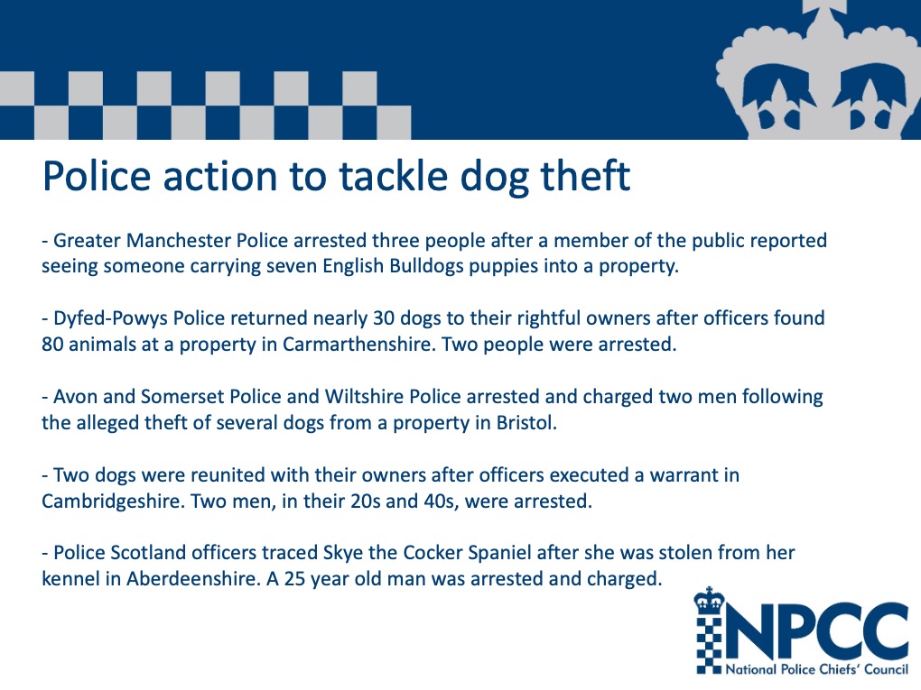PoliceChiefs's tweet photo. Police are encouraging dog owners to take sensible measures to keep their pets safe after an increase in thefts over the pandemic. 

It can be a difficult offence to investigate but over the past few months we have arrested numerous people. https://t.co/NtkILAXQs9 https://t.co/5x9axdc4FO