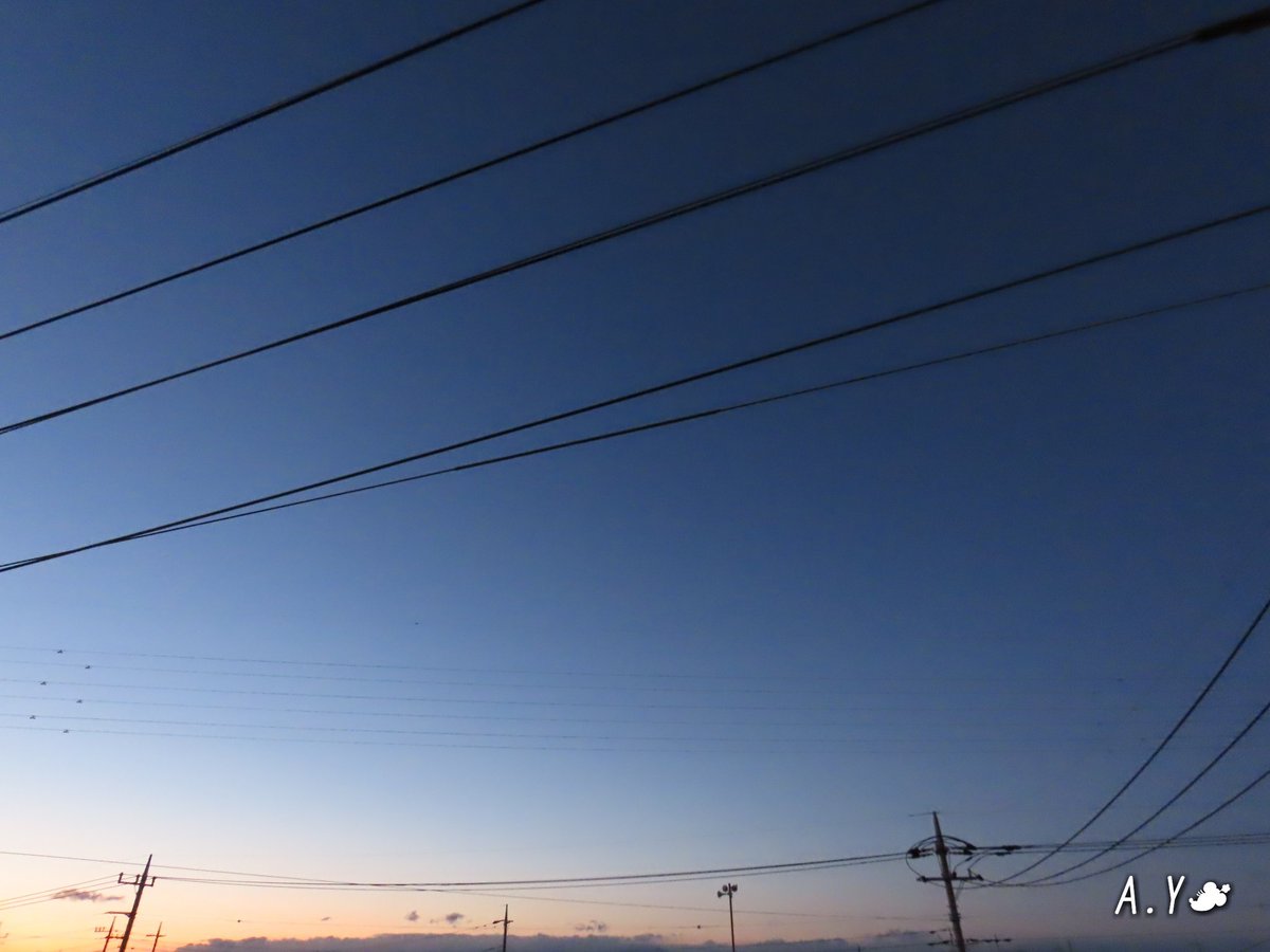 yumeasutw's tweet photo. お疲れ様です🏁
今日も冷たい北寄りの風が吹き荒れ、夕暮れになっても止まずカメラを持つ手が悴みました🌬️➰😖
明日は、今日より気温はいくらか上がり、南西の風が強そうです。

#夕空 #夕焼け #鉄塔 #電線 #電柱
#空の名前
#雲の教室
#マジックアワー
#ブルーアワー
#市民薄明
#a2021 #a0209 #a202102 https://t.co/kqaCCBHIy1
