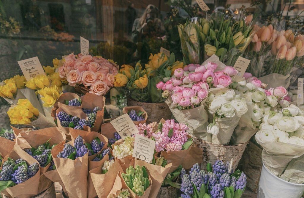 ���� ���� ������ �� ���� ������