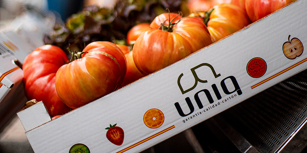 ¡El auténtico dinamizador de tus productos frescos se llama Uniq! ✅

Las cajas de cartón se convierten en el mejor expositor de frutas y hortalizas, y en magníficas herramientas de comunicación y promoción, tanto de marca como de producto 📦🍅

🔗 grupouniq.com