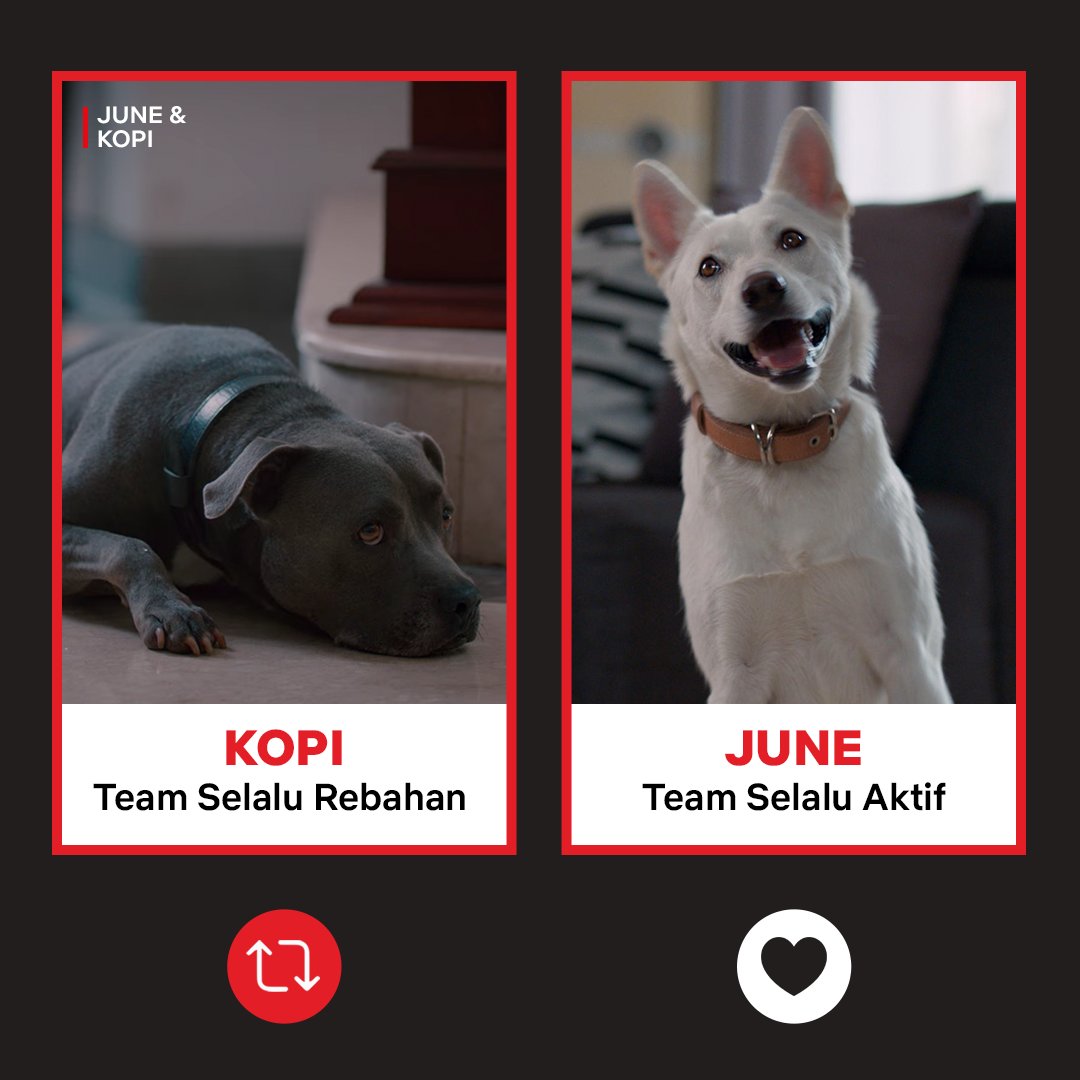 NetflixID's tweet photo. Aku sukanya aktif ketika makan dan kemudian rebahan. https://t.co/v4n9KS7UoW