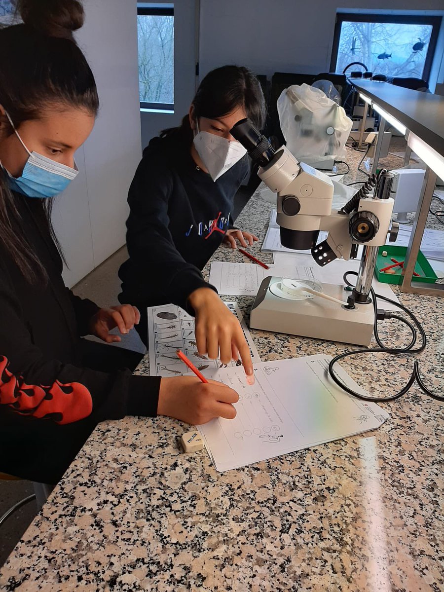 InstitutdelTer's tweet photo. Ahir, des de l’optativa de petites investigacions, l’alumnat de 2n B va anar al @museudelter a fer un taller dedicat a investigar l’estat de salut del riu Ter. @aliancesmagnet @FundacioBofill @ajManlleu 

#MagneTer https://t.co/XC6q0GzpvH