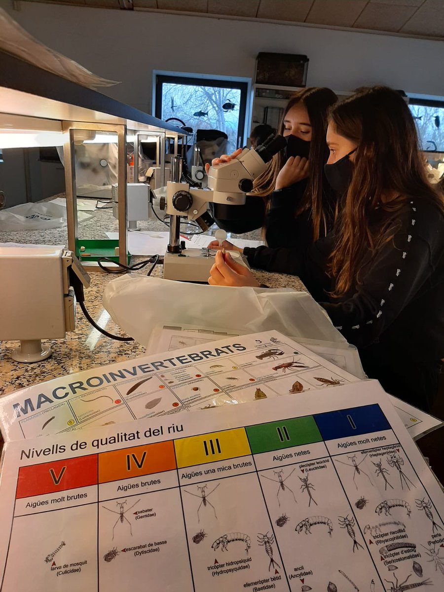 InstitutdelTer's tweet photo. Ahir, des de l’optativa de petites investigacions, l’alumnat de 2n B va anar al @museudelter a fer un taller dedicat a investigar l’estat de salut del riu Ter. @aliancesmagnet @FundacioBofill @ajManlleu 

#MagneTer https://t.co/XC6q0GzpvH