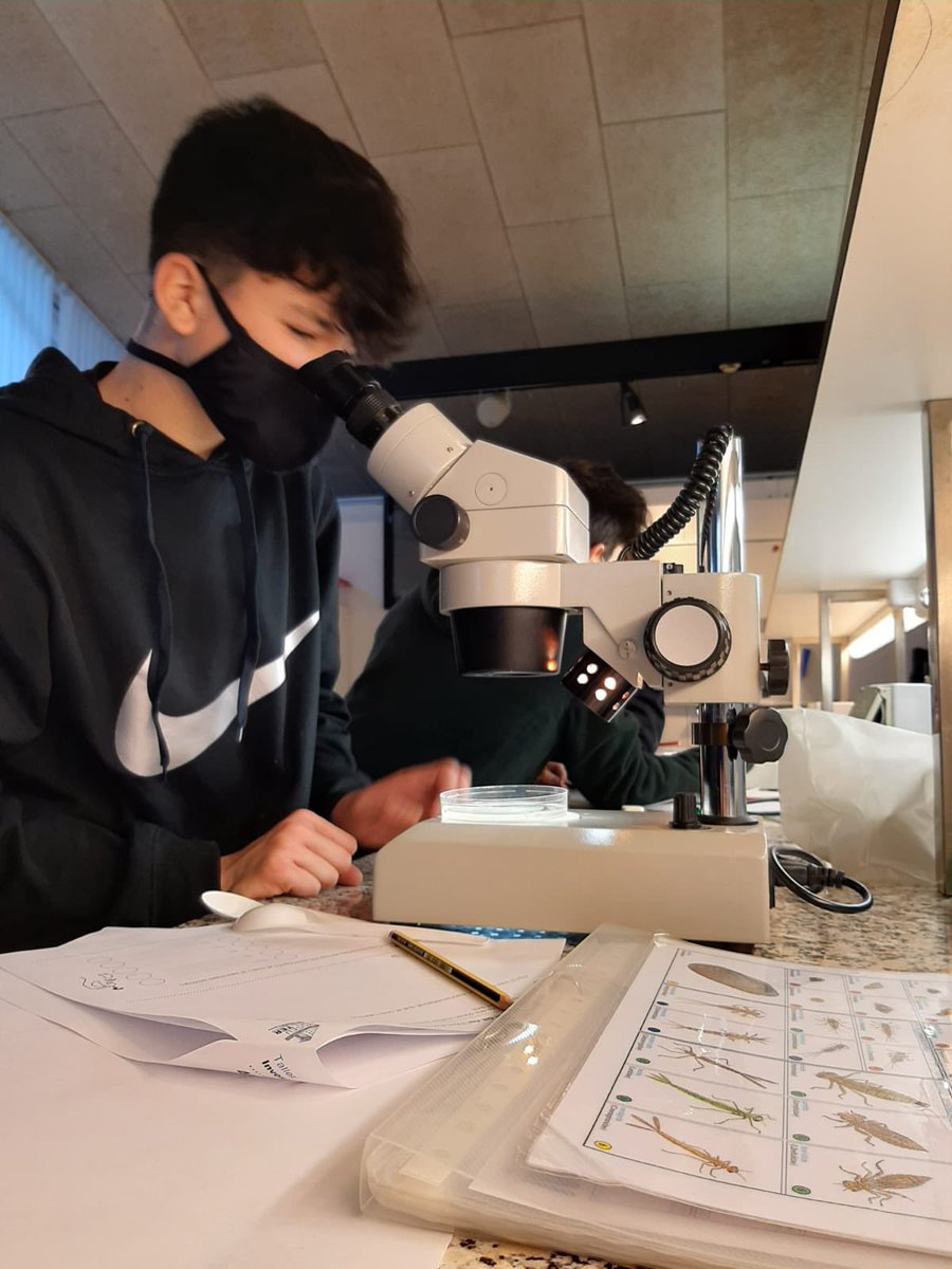InstitutdelTer's tweet photo. Ahir, des de l’optativa de petites investigacions, l’alumnat de 2n B va anar al @museudelter a fer un taller dedicat a investigar l’estat de salut del riu Ter. @aliancesmagnet @FundacioBofill @ajManlleu 

#MagneTer https://t.co/XC6q0GzpvH