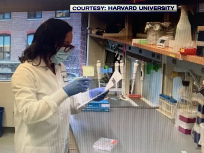 https://www.boston25news.com/news/harvard-researchers-unveil-new-technology-investigate-autism/WX2DW74T2BE5VPREEZDQFUDIIE/