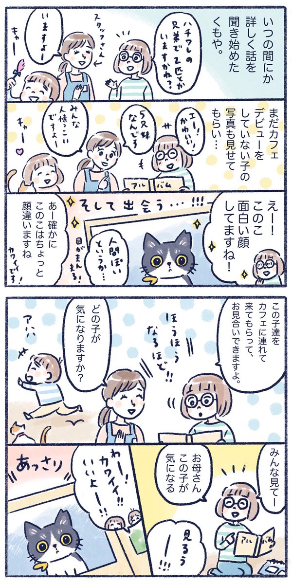 保護猫カフェから猫をお迎えした話。
これから飼おうとしてる方の参考になればいいなと☺
ただし毎度の事ながら見切り発車で描き始めましたよ。。
#コミックエッセイ #エッセイ漫画 #保護猫カフェ #くもやの猫まんが 