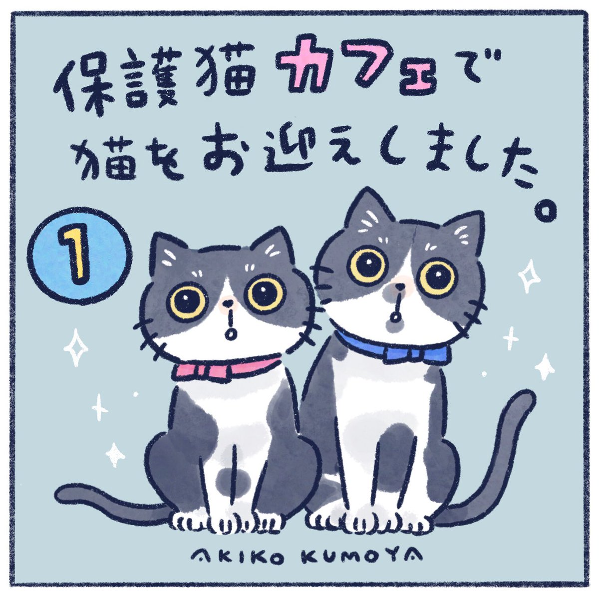 保護猫カフェから猫をお迎えした話。
これから飼おうとしてる方の参考になればいいなと☺
ただし毎度の事ながら見切り発車で描き始めましたよ。。
#コミックエッセイ #エッセイ漫画 #保護猫カフェ #くもやの猫まんが 