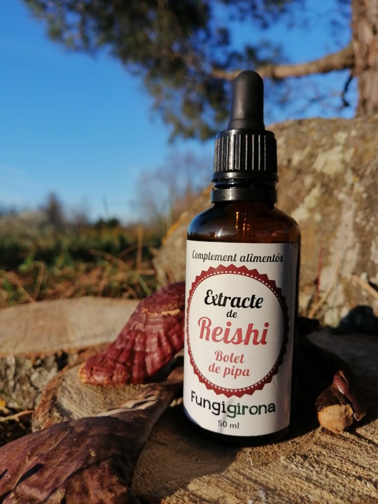 fessrural's tweet photo. 🍄@fungigirona és un projecte d'en Francesc Asperó i la Neus Riera, qui es dediquen a la producció de #bolets amb certificació ECO, elaboren i distribueixen extractes de bolets medicinals i realitzen tallers i formacions al voltant del cultiu de bolets.

#FESShocórrer 🐢💨 https://t.co/3WkRJ7WDM3