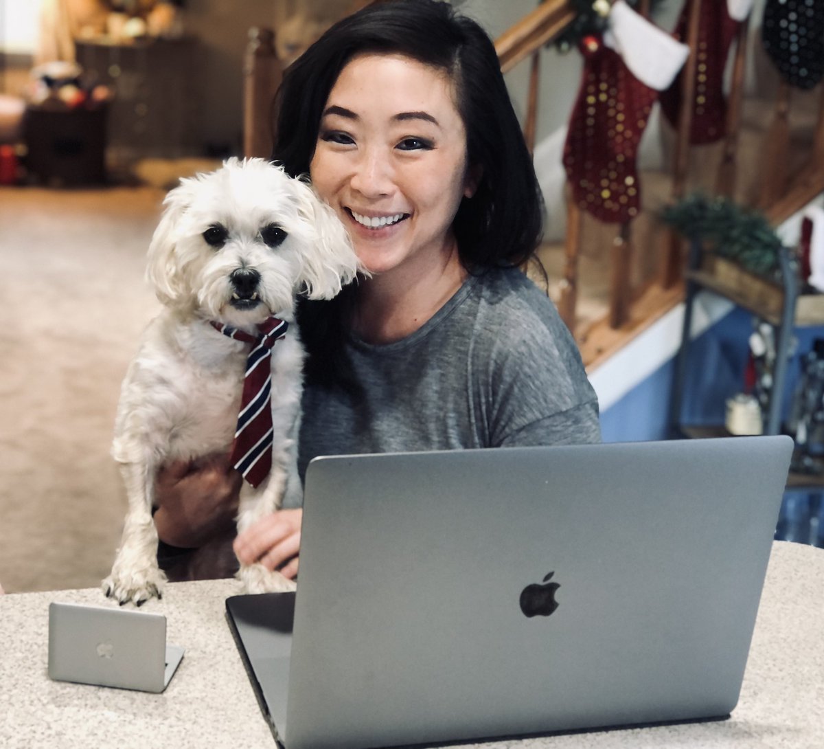 LisaCleary3's tweet photo. Bought Teddy a mini Mac &amp; tie so he can feel important during Zoom calls too. 😂 https://t.co/tVPs2JsS4e