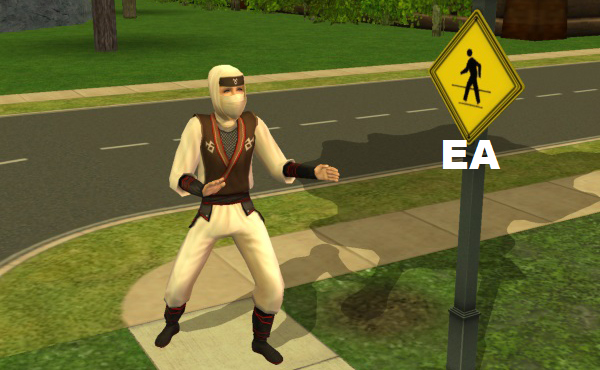 Sims2Ninja's tweet image. Not playing these games @ea 
#SimsRevolution
