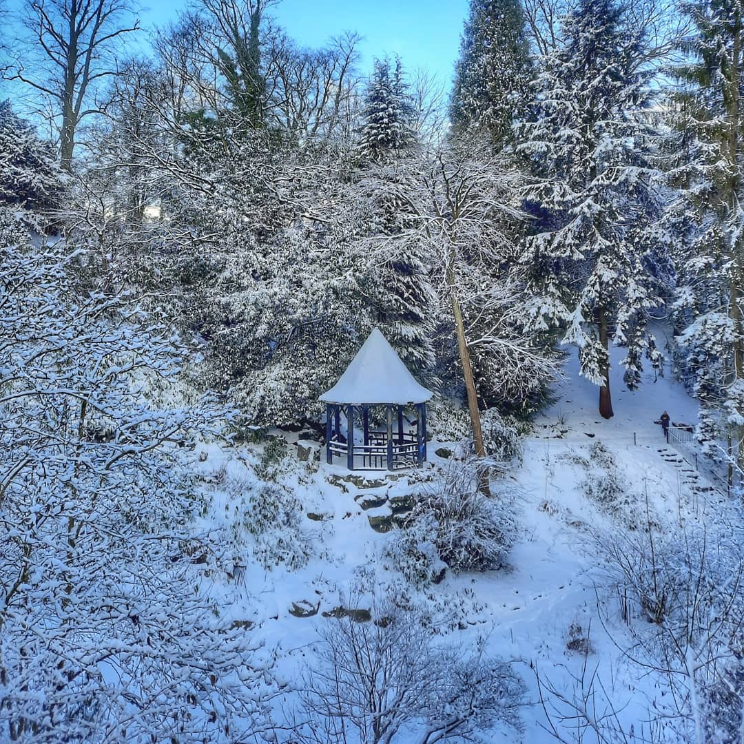 An incredible powdery snowfall has turned Pittencrieff Park into a winter wonderland. Just magical walking through it this morning #love #ınstagood #snow #robinsofinstagram #visitdunfermline #welcometofife