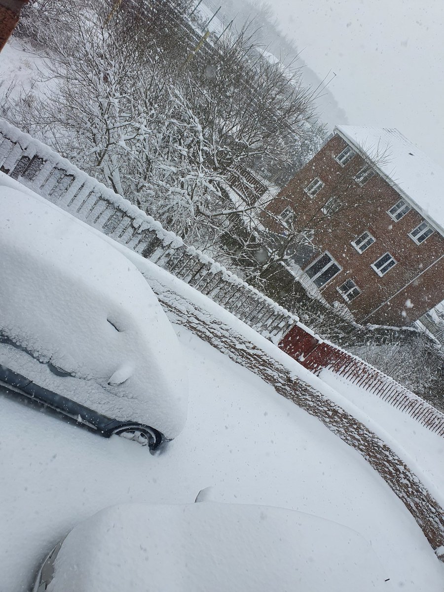 lockdownlesley's tweet photo. ❄ Snow Day in Glasgow! ❄ So glad I don't need to go to work today. 😝 Bring on the Netflix and Duvet day. 🛋📺 #BeastFromTheEast #snowmageddon #SnowDay #snowflurry #duvetday #Netflix #warmandcosy #baillieston
#glasgowsnow #beastfromtheeast2 https://t.co/DCLyxEziSm