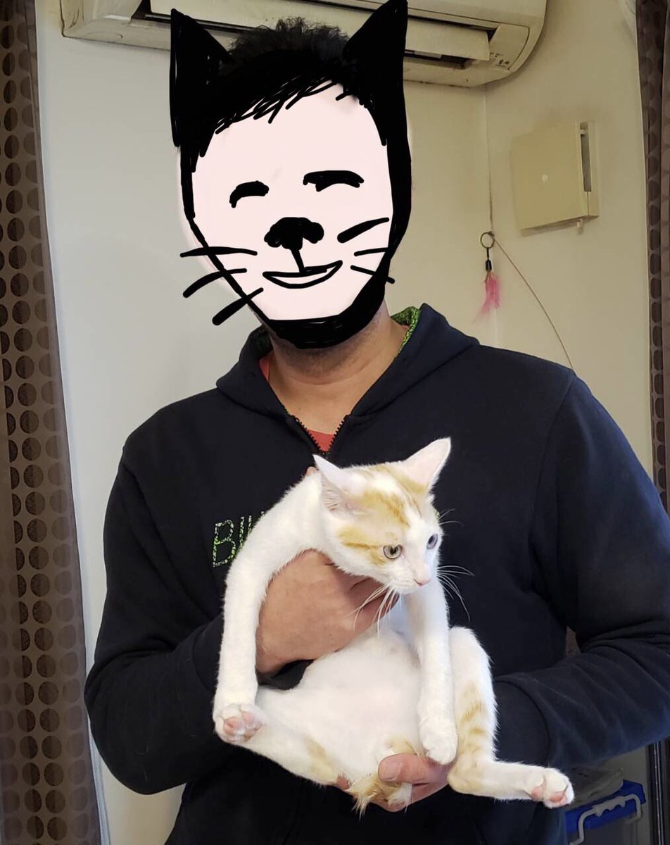 湘南ねこの会 On Twitter 仲良くしてもらっているそうです 先住猫はレイア 姫 なので トロくんはルークと言う新しい名前になるそうです Starwars C3p0 Bb8 Princessleia Lukeskywalker スターウォーズ 保護猫 Https T Co Xoxtasghzb