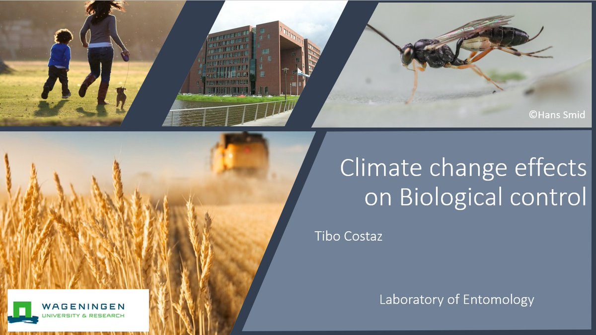 My first conference talk from my PhD thesis result #NAEM2021 <a href="/NERN_network/">Netherlands Ecological Research Network (NERN)</a>