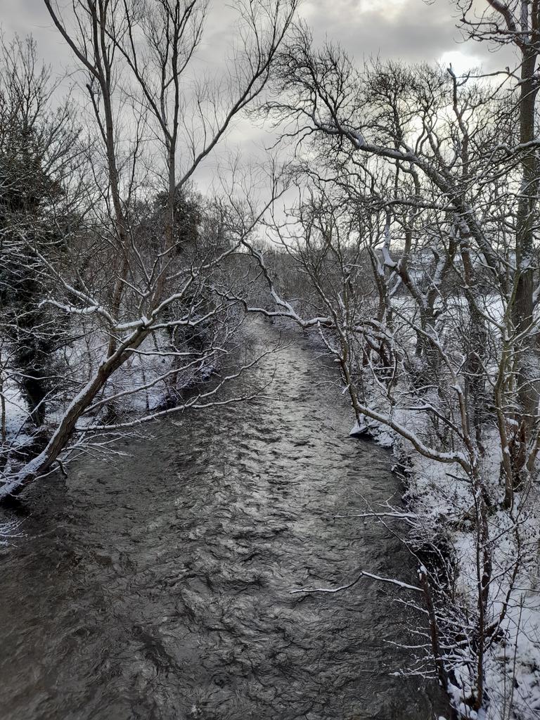 Shoelace Express 💙💛 (@shoelace2019) on Twitter photo Snowy walk Scottish Borders Ale River, cold but gorgeous <a href="/EildonRamblers/">Eildon Ramblers</a> @MelrosePaths #freshair Snowy walk Scottish Borders Ale River, cold but gorgeous <a href="/EildonRamblers/">Eildon Ramblers</a> @MelrosePaths #freshair