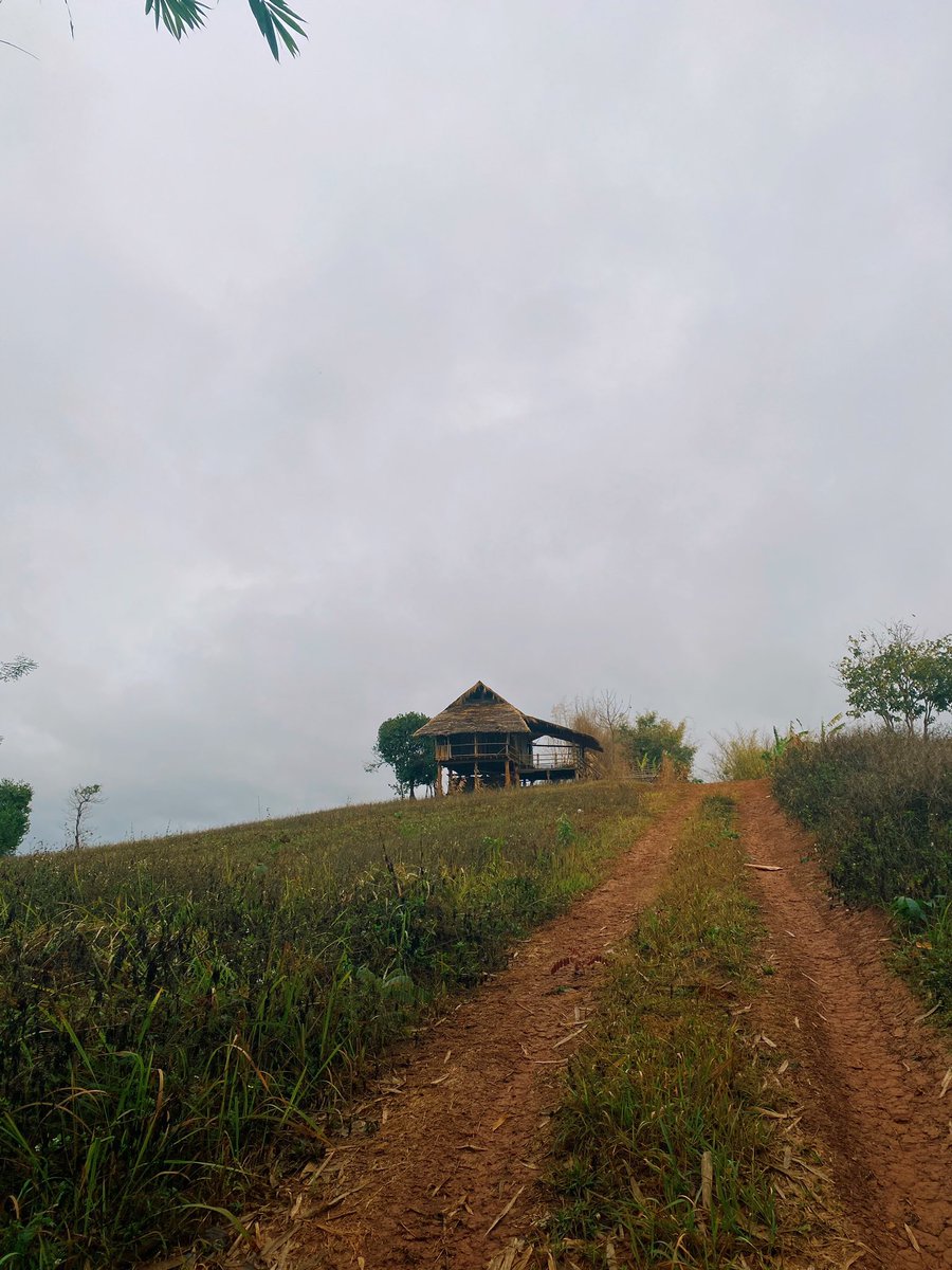 ปาริน tweet media