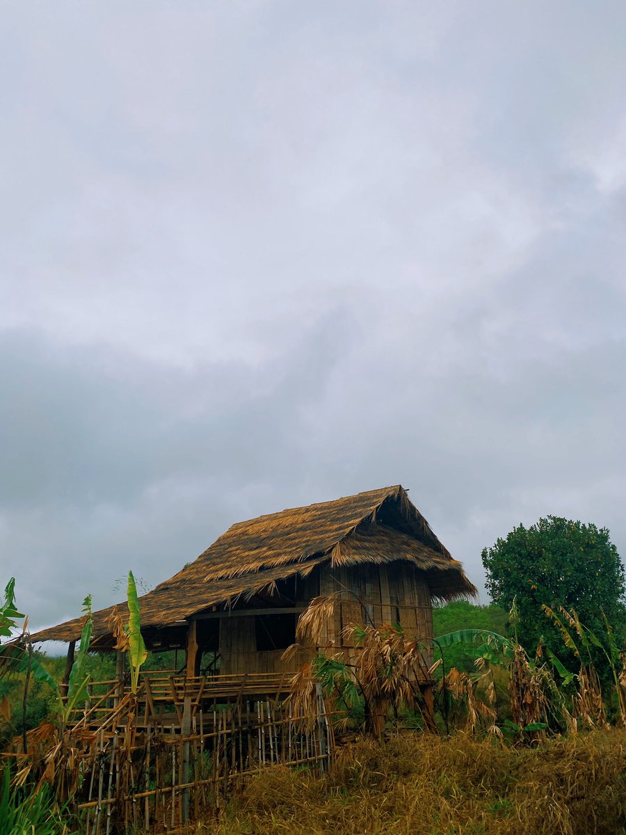 ปาริน tweet media