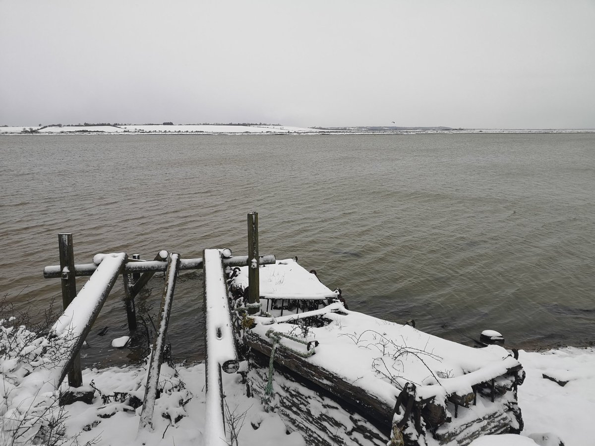 RachelElvidge's tweet photo. Still very snowy here in #althorne #essex. I walked the seawall to #BurnhamOnCrouch and saw a heron! #cold #snow #WalkEveryDay https://t.co/JkBoMfsFeW