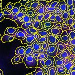 Photo by Markovic Lab (@MarkovicLab)