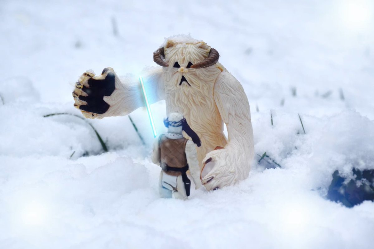 ReadFiveDesigns's tweet photo. Luke comes face to face with a Wampa
#readfivestandingby #originaltrilogy #starwars #KennerWampa #Wampa #StarWarsWampa #TheEmpireStrikesBack #vintagestarwars #Hoth #PlanetHoth #starwarskenner #toyphotography #starwarstoyphotography #starwarstoypics #actionfigurephotography https://t.co/GoAwcv2FZb