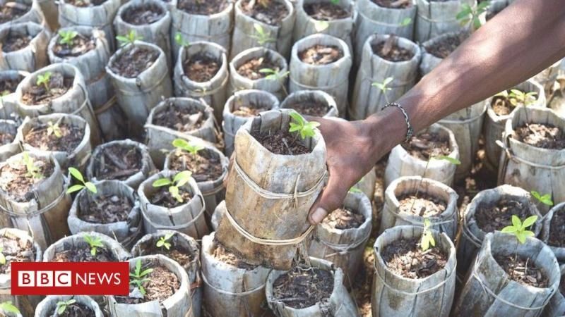 AwareTours's tweet image. Not all #CarbonOffset projects are beneficial.
The BBC has provided a checklist for reforestation projects so that they can truly help the climate. In our view, the simplest is that you shouldn't plant if you plan to cut it down again. Be #climateaware